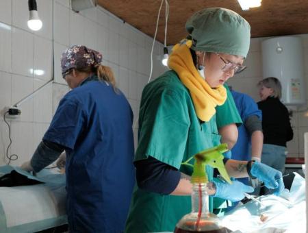 Волонтер из Казахстана выучилась на ветеринара и создала единственный в стране ветмобиль