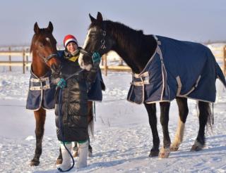 Небольшую конюшню под Клином волонтеры превратили в приют для лошадей-компаньонов