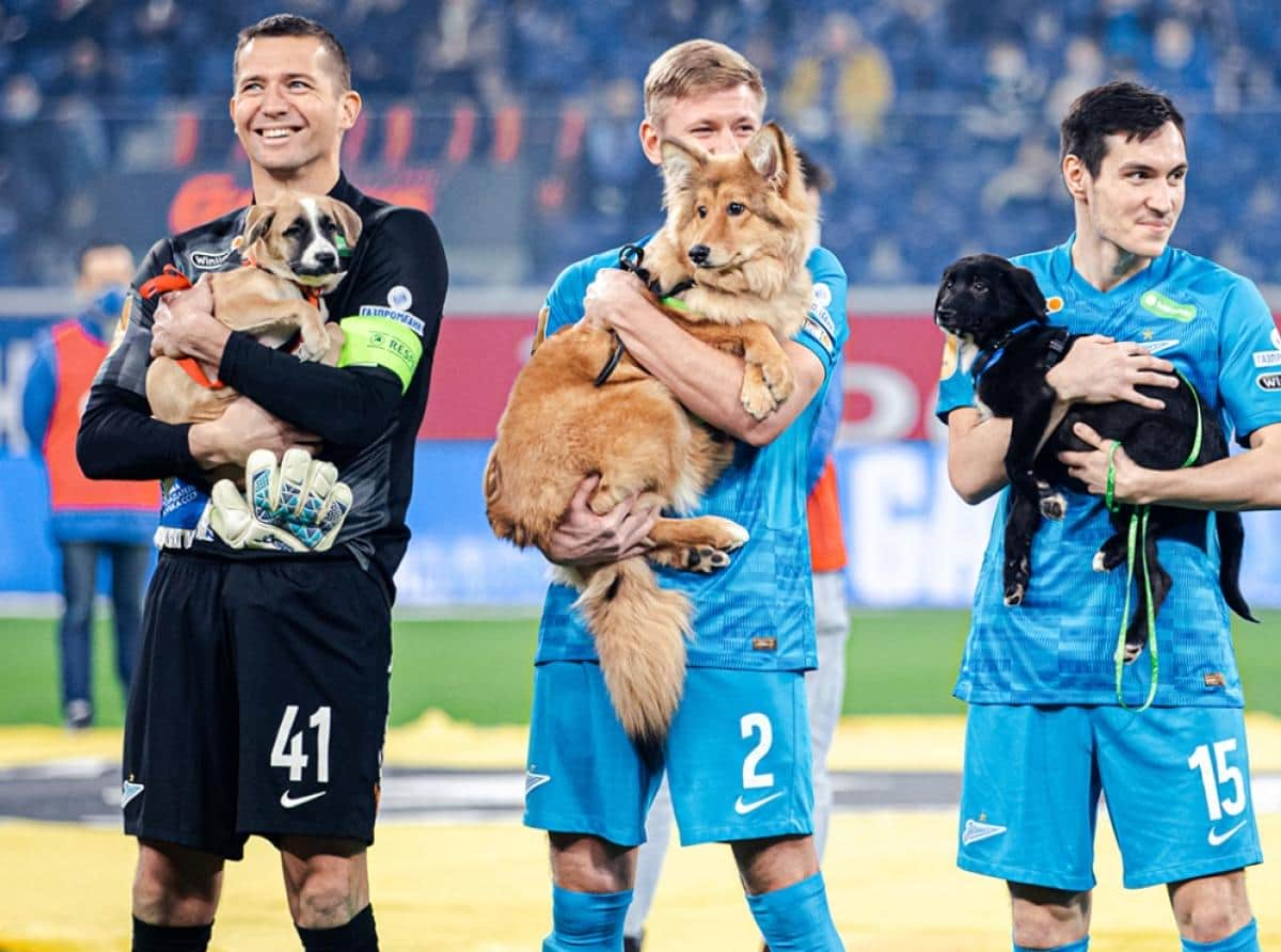 Фото: Вячеслав Евдокимов, Анна Мейер, fc-zenit.ru