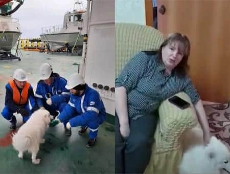Экипаж ледокола «Александр Санников» помог собаке выбраться из арктических льдов