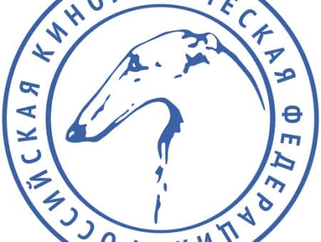 Российская кинологическая федерация — новый партнёр Премии «Мой ласковый и нужный зверь»