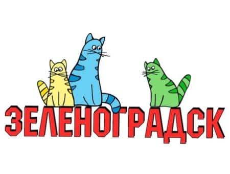 Протоколы жюри подсчитаны, имена обладателей «Лохматого Оскара» будут объявлены 13 марта!
