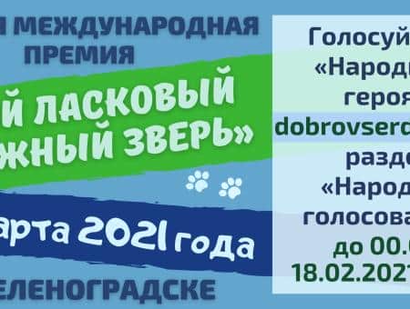 В «Народном голосовании» сменилась пятёрка лидеров!