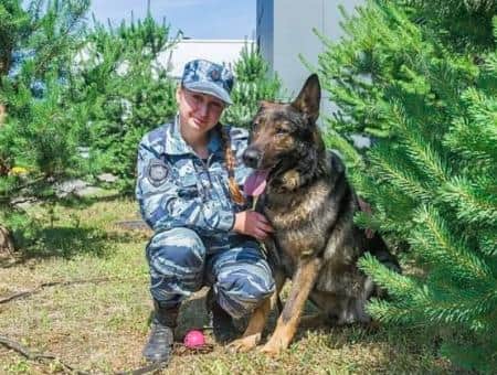 Волк-Меркурий-спаситель школьницы и кот Лёша из Челябинска