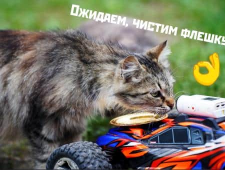 Житель Сочи Игорь Донченко кормит бездомных животных с помощью «Машинки добра»
