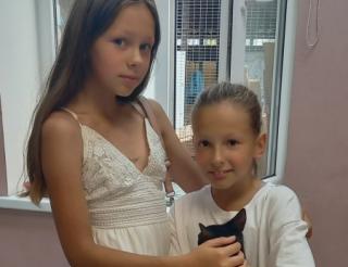 Sisters from Kaliningrad raised money to save a kitten