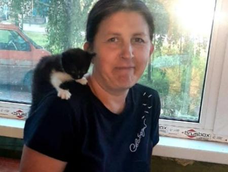The stitches parted, there was blood everywhere: a resident of Gorodets saved a cat after an unsuccessful operation
