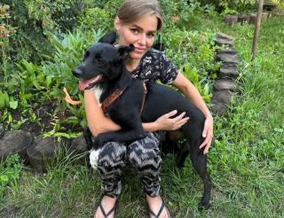 A resident of Bashkiria has built a shelter for stray dogs in the courtyard of her country house