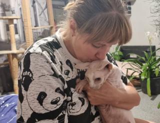 Kaliningrad woman rescues cats left in Donbass without owners