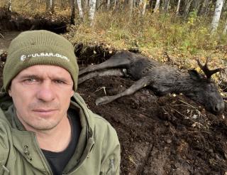 A worker from Nizhny Novgorod saved a wild moose in the Ural forest risking himself