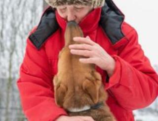 In the village of Kolchanovo, Leningrad region, a family rescues and cares for stray dogs