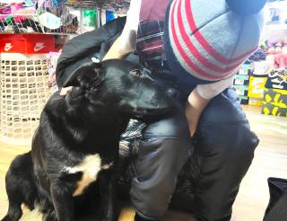 A stray dog became a babysitter for children from a seaside village