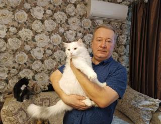 A family from St. Petersburg has been rescuing and treating stray cats for many years