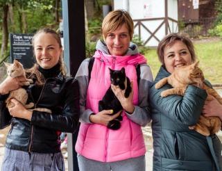 On the Baltic coast, local girls have been rescuing stray cats for three years and helping them find a home