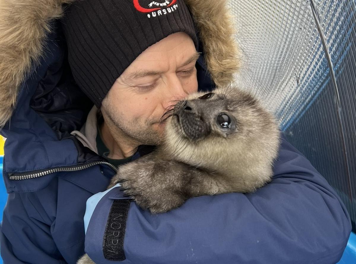 A married couple from St. Petersburg has created the only Baltic seal rescue center in Russia