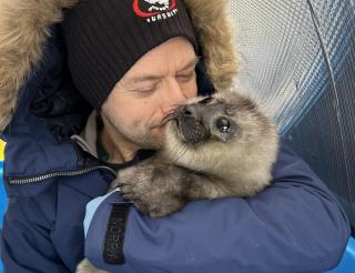 A married couple from St. Petersburg has created the only Baltic seal rescue center in Russia