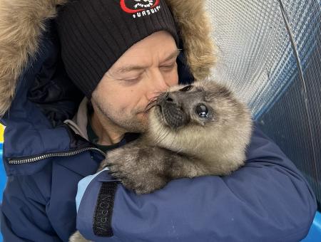 A married couple from St. Petersburg has created the only Baltic seal rescue center in Russia