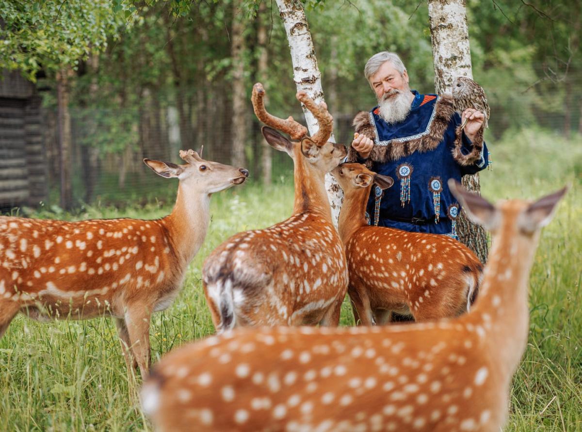 Vasily Vasichkin nursed more than 10 spotted orphan fawns and became a new mother for them