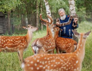 Vasily Vasichkin nursed more than 10 spotted orphan fawns and became a new mother for them
