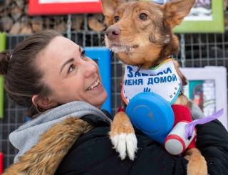 Minsk volunteers rescue homeless animals from bullets and euthanasia
