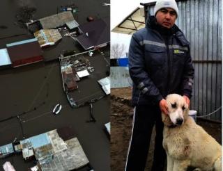 Volunteers in Kostanay sheltered hundreds of abandoned animals during floods in Kazakhstan