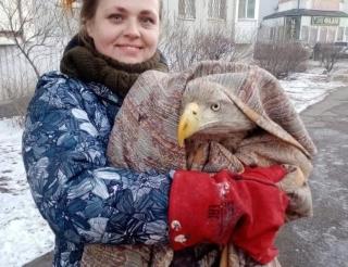 In Volgograd, volunteers rescue and teach Red Book eagles, owls and wild animals to survive in the wild