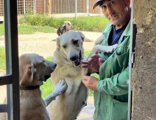 Volunteers of the shelter