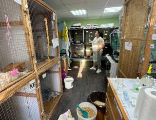 The Animal Welfare Fund
