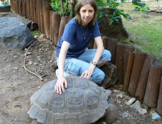 A test engineer from Moscow has created a unique Turtle Assistance Team in Russia