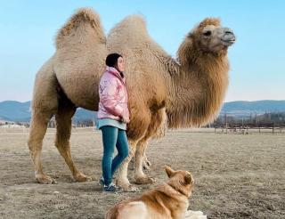 In Sevastopol, the doomed animals got a chance to be saved