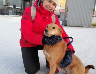 Volunteer Elena Nikanorova saves dogs in shelters in Buryatia from inevitable euthanasia and finds new owners for them
