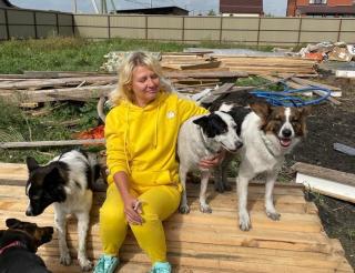 In Rostov-on-Don, a mother and daughter took in stray animals from the special military zone in their home