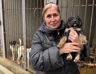 A resident of Grozny has created one of the largest shelters for homeless animals in Russia