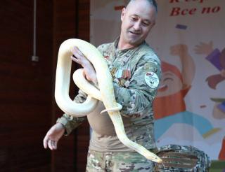 Angelina the tiger python became a participant in a special military operation together with her master