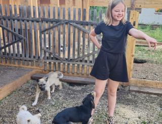 A fifth-grader from the Irkutsk region organizes charity events to help homeless animals