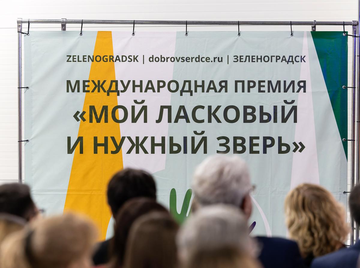 On the timing of the announcement of the winners