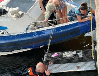 Volunteers rescued a cat from a hole in the Fontanka Embankment in St. Petersburg