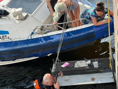 Volunteers rescued a cat from a hole in the Fontanka Embankment in St. Petersburg