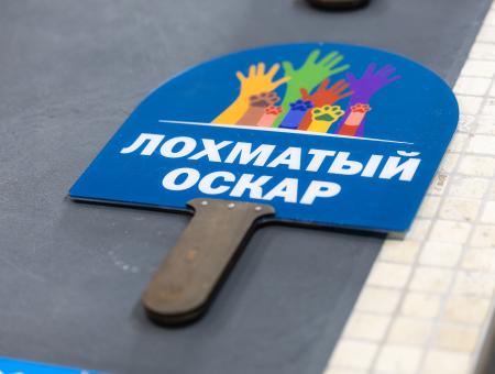 Представляем состав жюри седьмого сезона Премии!