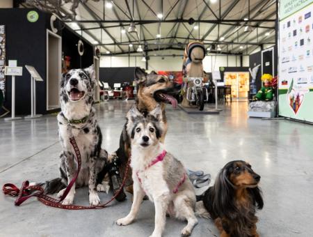 Место и время встречи изменить нельзя!