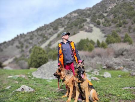 Search dogs are the first to come to the rescue