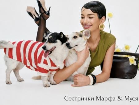 Creativity: photo and video sessions help save dogs and cats in Vladikavkaz
