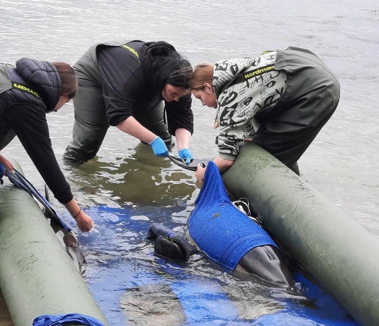 14. Ветеринары центра спасения дельфинов «Дельфа» (Анапа)