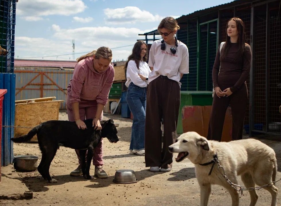 18. Приют «Омские хвостики» (Омск)