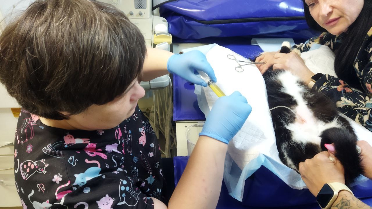 02. Сотрудники ветклиники «39 жизней» (Калининград)