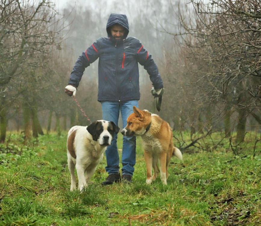 20. Дмитрий Михайлов и волонтеры проекта «Погуляй собаку» (Москва)
