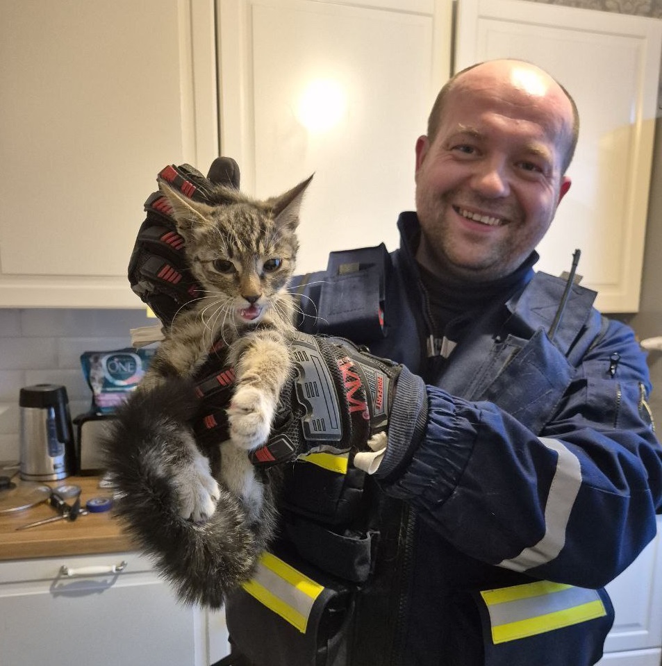 24. Общественно-поисковый отряд «Спасрезерв» (Москва)