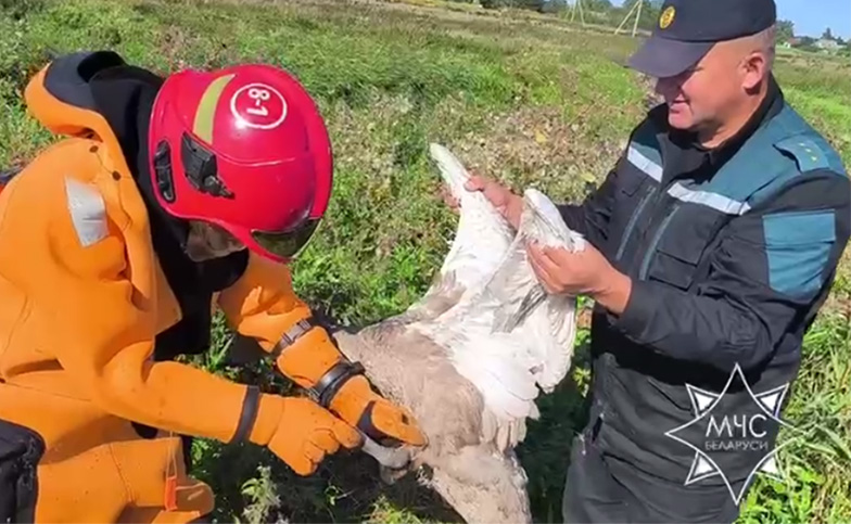 27. Спасатели МЧС Республики Беларусь (Минск)