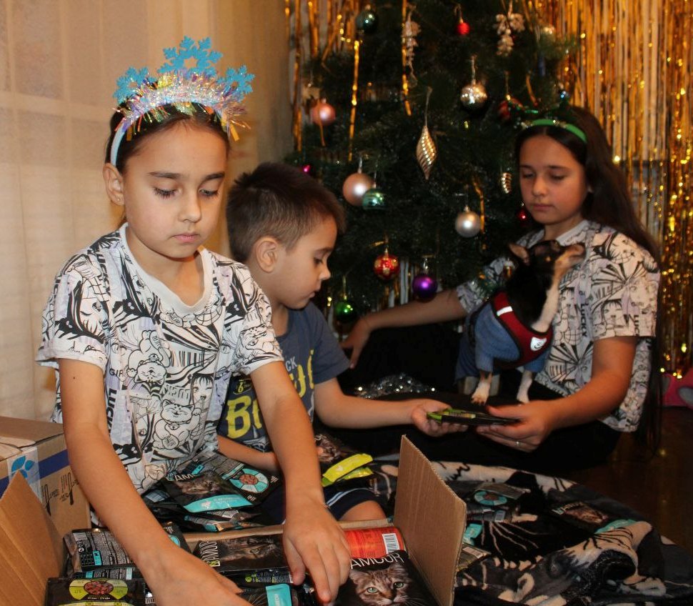 37. Ксения, Полина и Арсений Бармины (Республика Башкортостан)