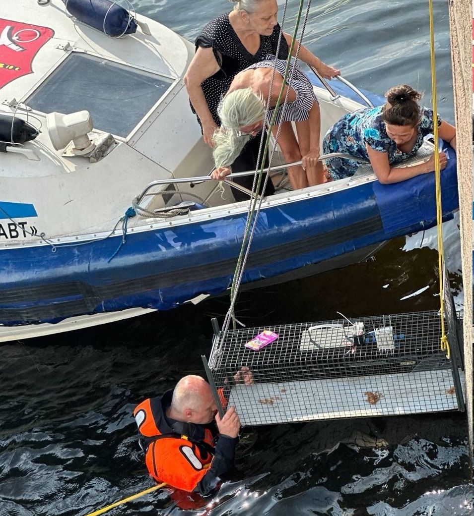 04. Служба спасения животных «КОШКИСПАС» (Санкт-Петербург)